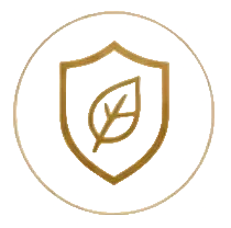 Strengthen Skin Barrier